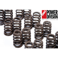 [GSC Power Division Mitsubishi EVO 8-9 Beehive Springs]