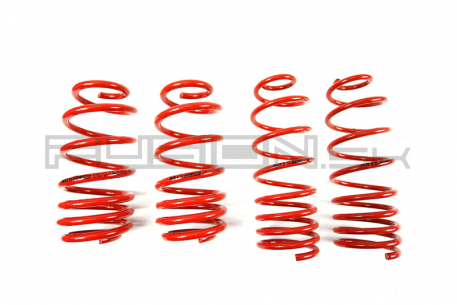 [Obr.: 95/50/86-znizene-pruziny-performance-springs-mtsxbm023-1686848126.jpg]